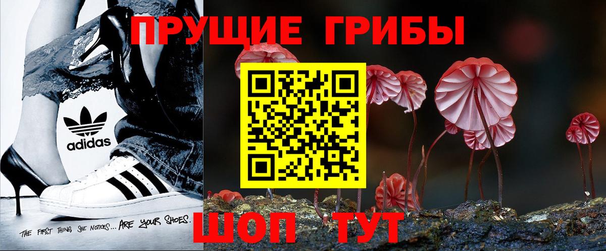 Галлюциногенные грибы мухоморы  Вход с VPN  закладки  Вышний Волочёк 