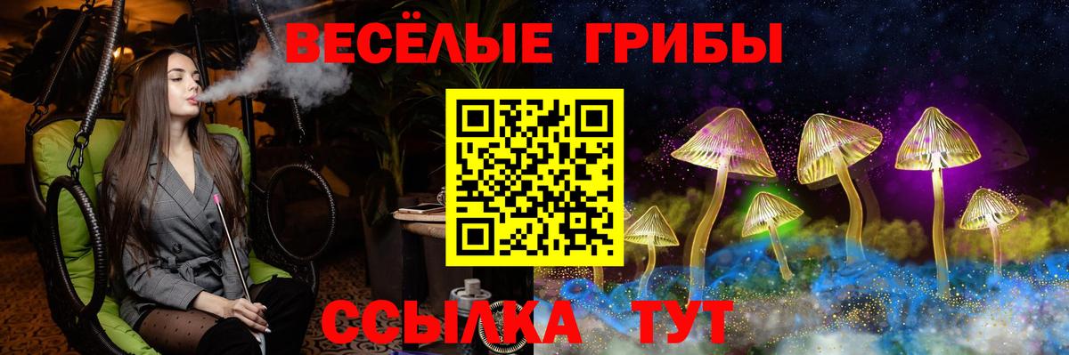 Галлюциногенные грибы MAGIC MUSHROOMS Вышний Волочёк